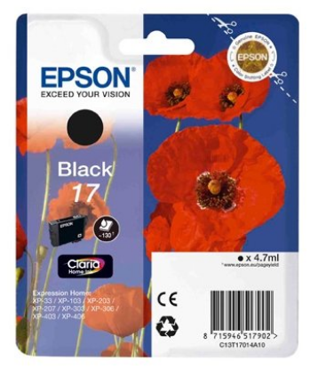 Изображение Картридж Epson C13T17014A10