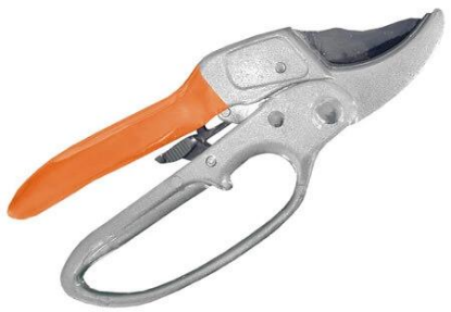 Изображение Секатор Park HG0034 (270106)