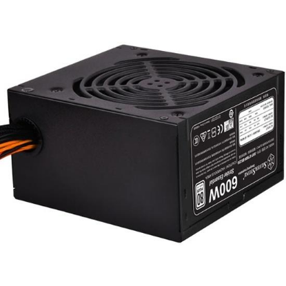 Изображение Блок питания SilverStone ST60F-ES230 (SST-ST60F-ES230 V1.0) (600 Вт )