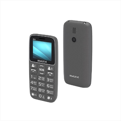 Изображение Мобильный телефон MAXVI B110,серый