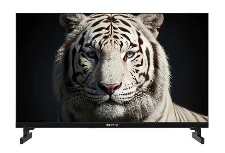 Изображение Телевизор Topdevice TDWC24BH5260V 24" 720p HD Smart TV черный