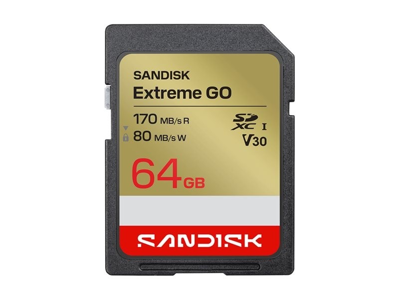 Изображение Карта памяти SanDisk SDXC Extreme GO Class 10 64 Гб  SDSDXGN-064G-GNCIN